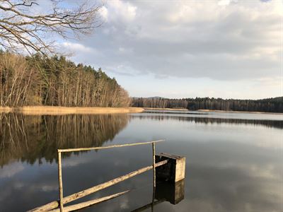 Klenský rybník jaro